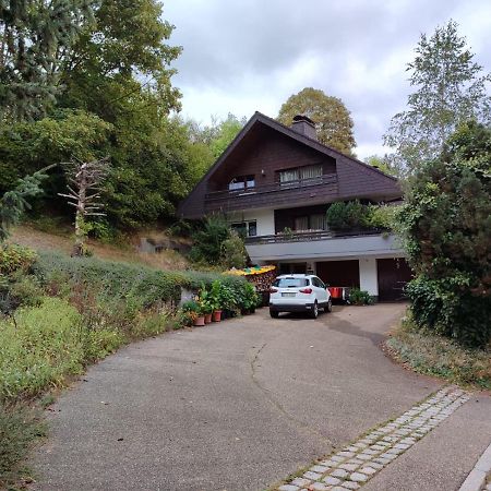 Апартаменти Feldbergsicht Ленцкірх Екстер'єр фото