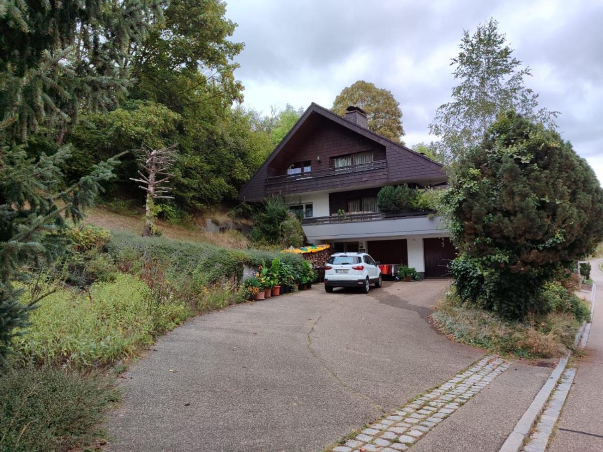 Апартаменти Feldbergsicht Ленцкірх Екстер'єр фото
